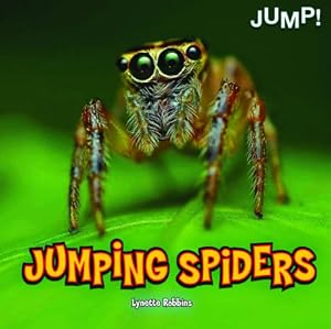 Jumping Spiders