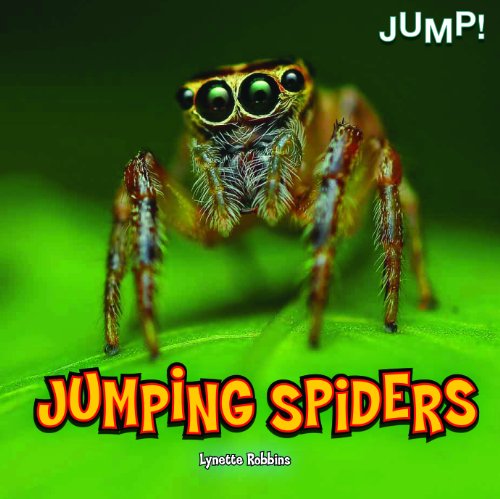 Jumping Spiders by Lynette Robbins
