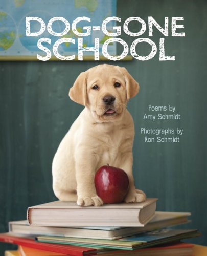 Dog-Gone School by Ron Schmidt