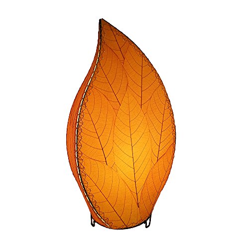 Algopix Similar Product 3 - 