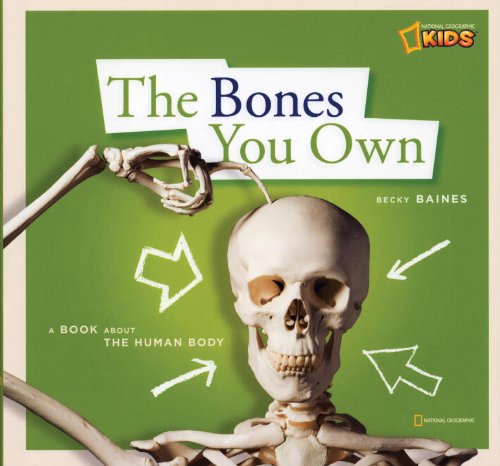 ZigZag: The Bones You Own by Becky Baines