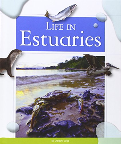 Life in Estuaries by Lauren Coss