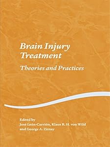 Brain Injury Treatment: Theories and Practices (Studies on Neuropsychology, Neurology and Cognition) by Jose Leon-Carrion
