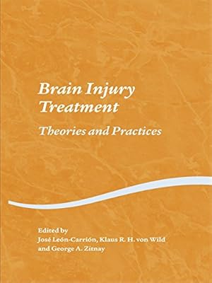 Brain Injury Treatment: Theories and Practices (Studies on Neuropsychology, Neurology and Cognition)