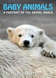 Baby Animals: A Portrait of the Animal World