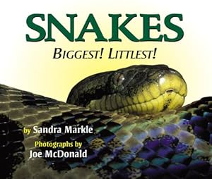 Snakes: Biggest! Littlest!