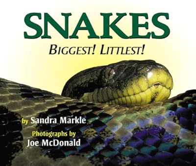 Snakes: Biggest! Littlest!