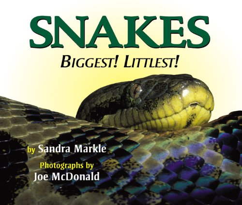 Snakes: Biggest! Littlest! by Sandra Markle