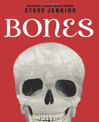 Bones: Skeletons and How They Work by Steve Jenkins