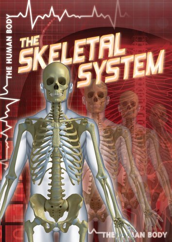 The Skeletal System by Greg Roza