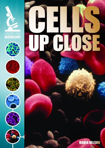 Cells Up Close by Maria Nelson