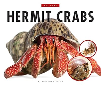 Hermit Crabs