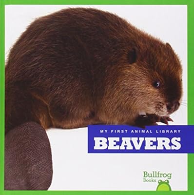 Beavers