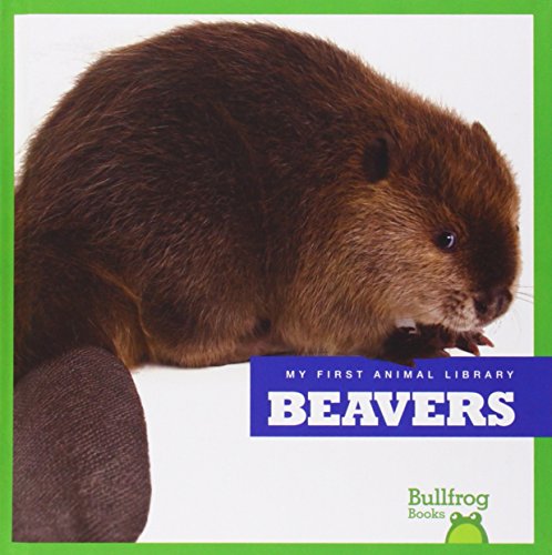 Beavers by Mari C. Schuh
