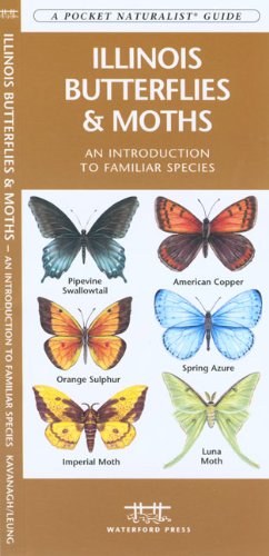 Illinois Butterflies and Moths: An Introduction to Familiar Species (State Nature Guides) by James Kavanagh