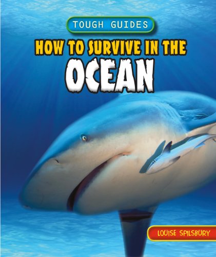 How to Survive in the Ocean by Louise Spilsbury