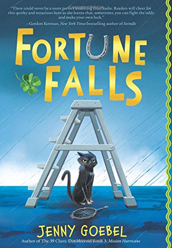 Fortune Falls by Jenny Goebel
