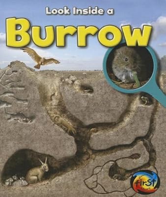 Burrow: Look Inside