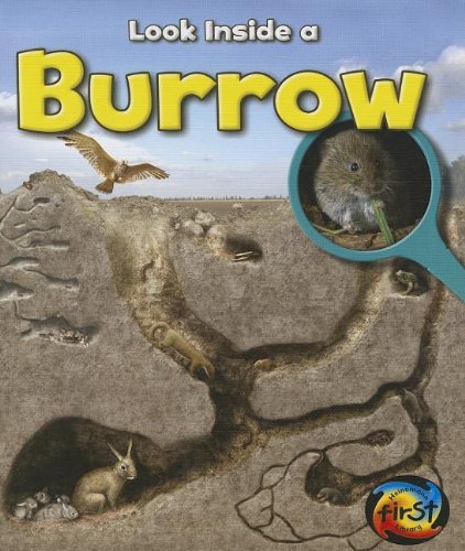 Burrow: Look Inside by Richard Spilsbury