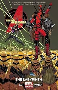 Secret Avengers Volume 2: The Labyrinth