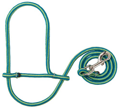 

Weaver Leather Poly Rope Sheep Halter with Snap, Blue/Lime