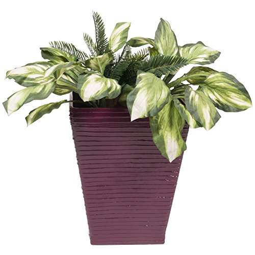 Algopix Similar Product 12 -