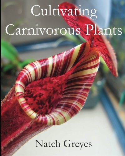 Lin Wellford's Painted Garden Art Anyone Can Do