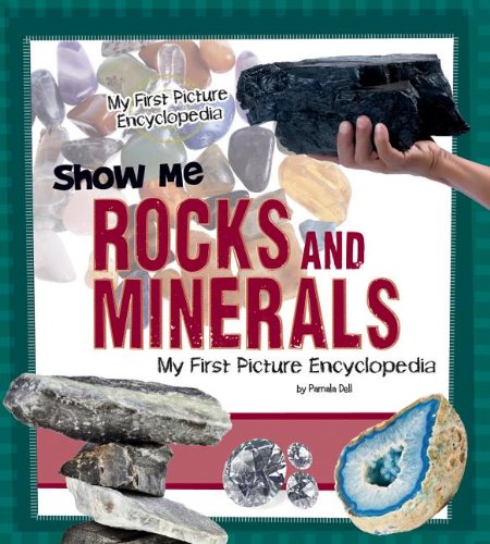 Show Me Rocks and Minerals: My First Picture Encyclopedia by Patricia Wooster