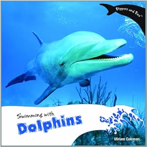 Swimming With Dolphins