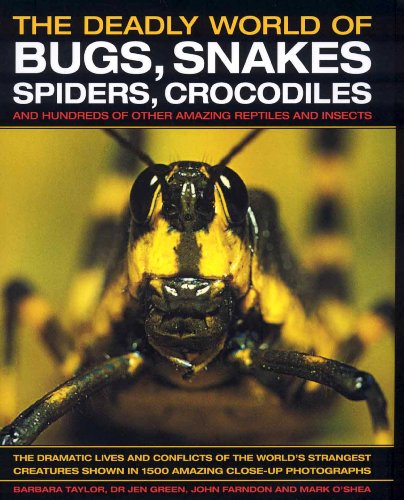 The Deadly World of Bugs, Snakes, Spiders, Crocodiles: And Hundreds of Other Amazing Reptiles and Insects by Barbara Taylor