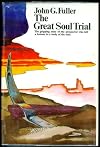 The great soul trial