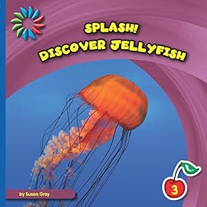 Discover jellyfish