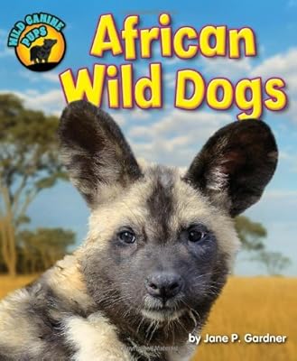 African Wild Dogs