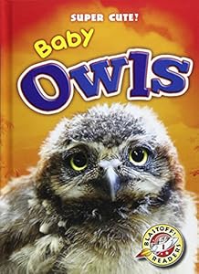 Baby Owls by Christina Leaf