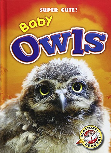 Baby owls by Christina Leaf