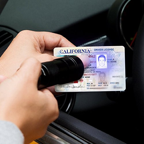 GridLite UV Blacklight Flashlight - Pet Urine Detector - Stain Detector - 12 UV LEDS - Image 5