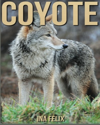 Coyote: Children Book of Fun Facts & Amazing Photos on Animals in Nature - A Wonderful Coyote Book for Kids aged 3-7