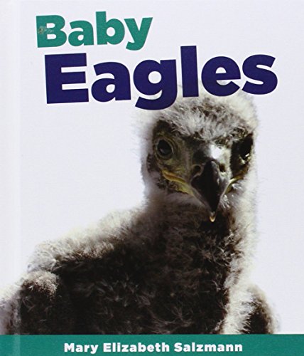 Baby Eagles by Mary Elizabeth Salzmann
