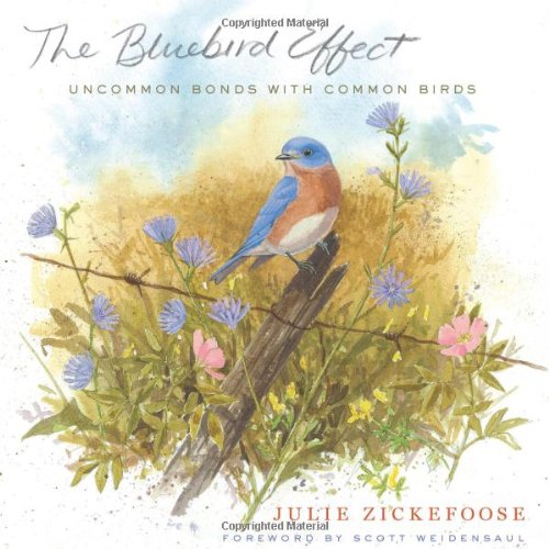 The Bluebird Effect: Uncommon Bonds with Common Birds by Julie Zickefoose