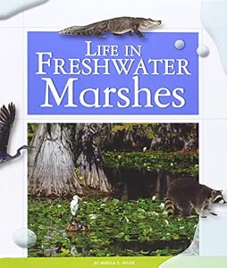 Life in Freshwater Marshes