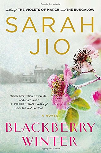 Blackberry Winter: A Novel by Sarah Jio