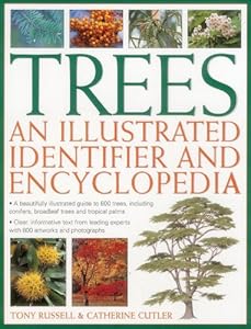 Trees: An Illustrated Identifier And Encyclopedia: A Beautifully Illustrated Guide To 600 Trees, Including Conifers, Broadleaf Trees And Tropical Palms by Tony Russell