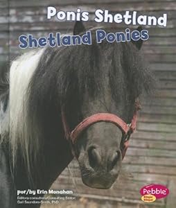 Ponis Shetland/Shetland Ponies