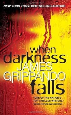 When Darkness Falls (Jack Swyteck Novel)