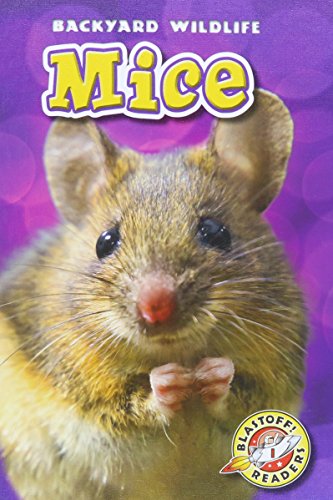 Mice by Kari Schuetz