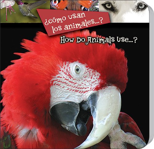 Como usan los animales...? by Luana K Mitten