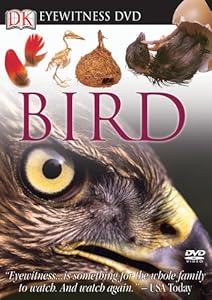 Eyewitness DVD: Bird (Eyewitness Videos)