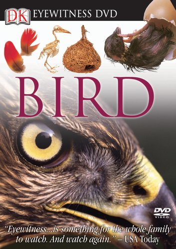 Eyewitness DVD: Bird (Eyewitness Videos) by DK Publishing