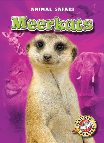 Meerkats by Kari Schuetz