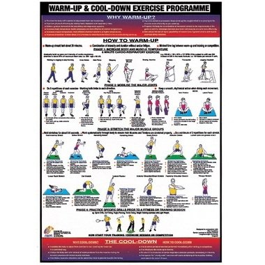 New Chartex Exercises & Fitness Programme Warm Up / Cool Down Charts ...